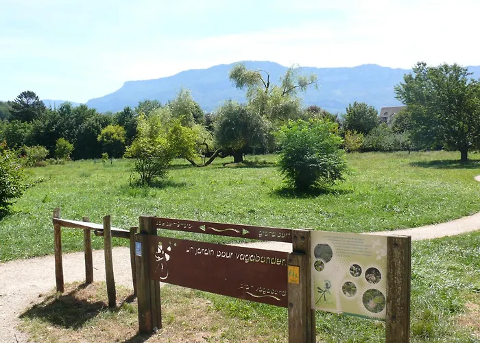 Shayton Natura